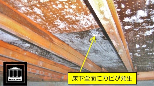 床下　カビ発生　根太腐朽