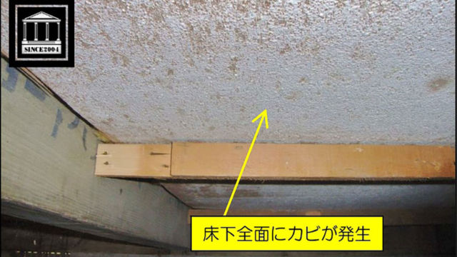 床下のガビ発生