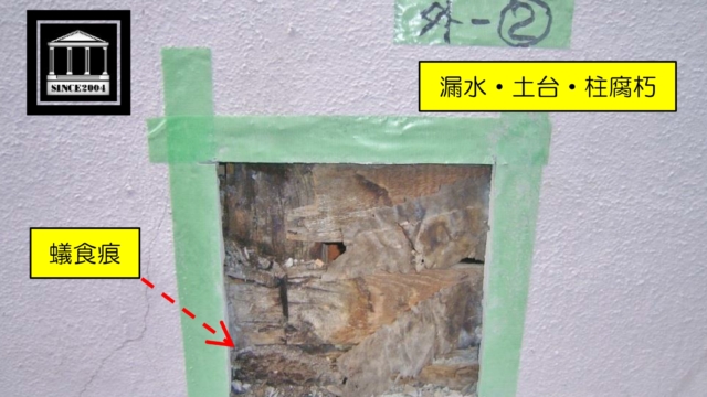 外壁 漏水 蟻 腐食　